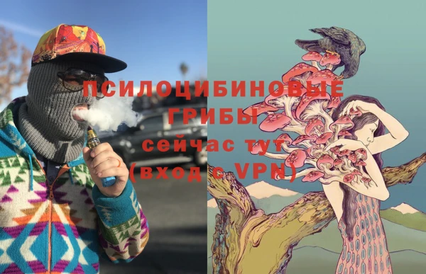 гашик Белокуриха