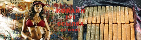 гидропоника Беломорск