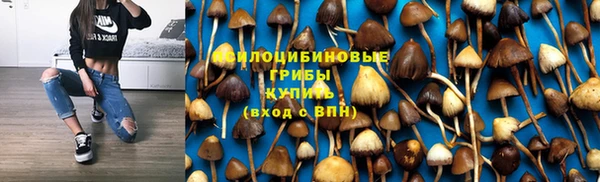 гидропоника Беломорск