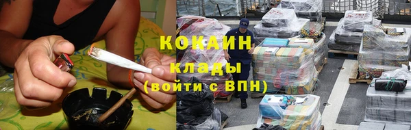 гашик Белокуриха