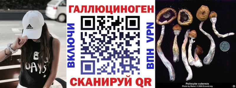 Купить закладки  Минусинск  Псилоцибиновые грибы Psilocybine cubensis 